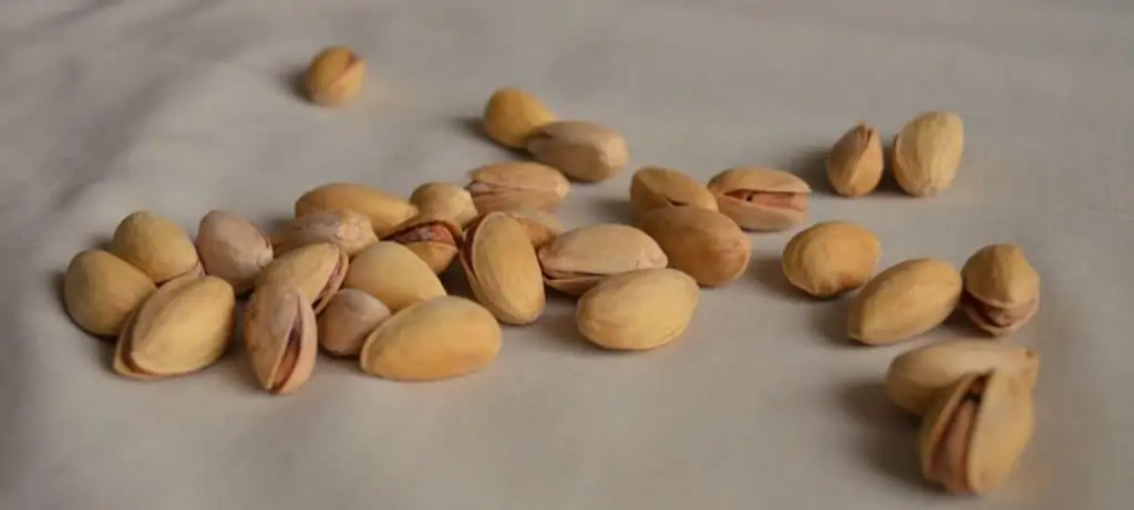 What are nuts in the food pyramid