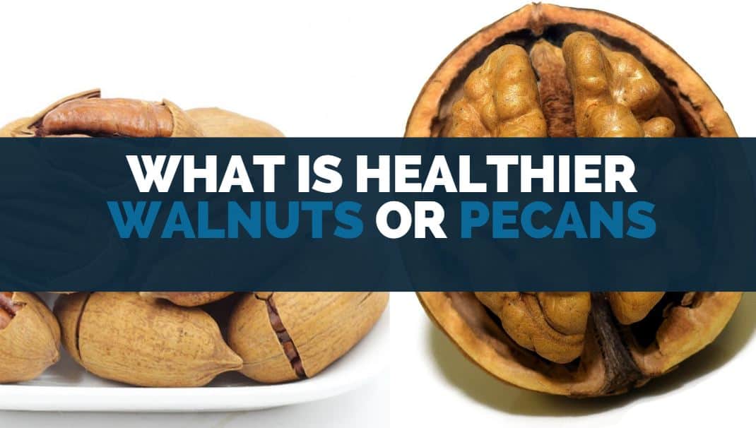 What Vitamins Are in Pecans? [NUTRITION FACTS] Eat For Longer Food