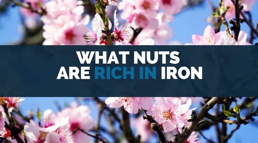 what nuts are rich in iron