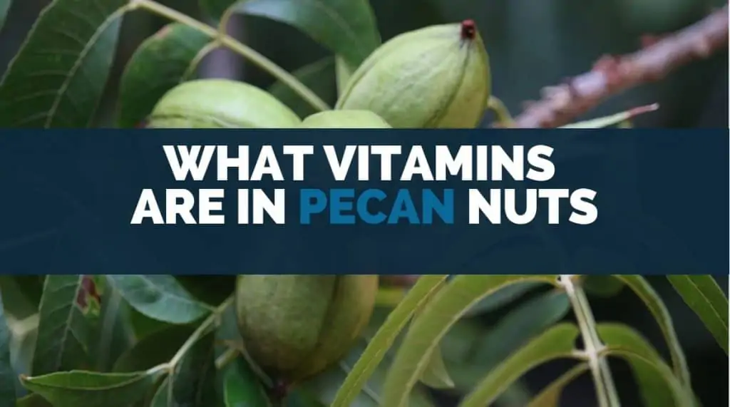 what vitamins are in pecan nuts