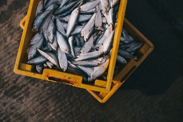 Do Blue Zones Eat Fish