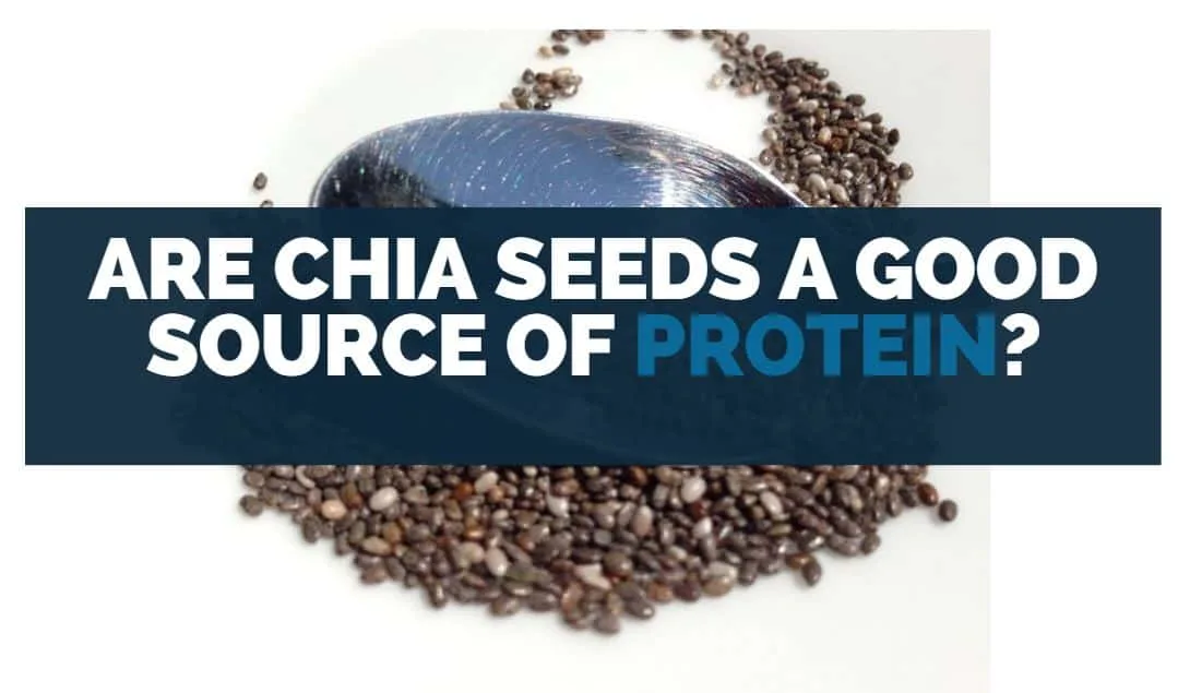 are chia seeds a good source of protein