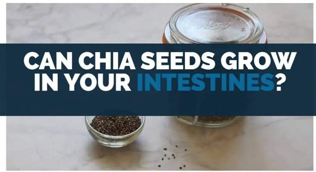 can chia seeds grow in your intestines