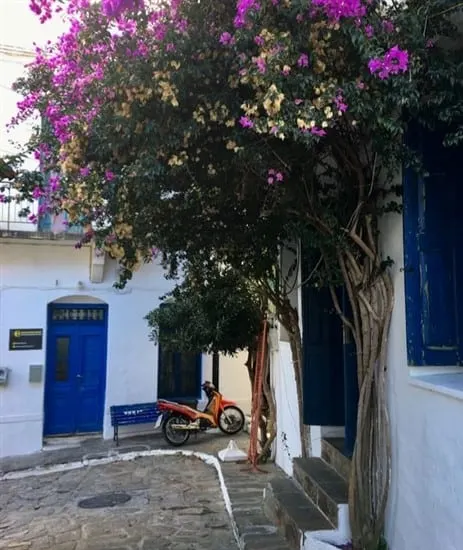 ikaria greece blue zone