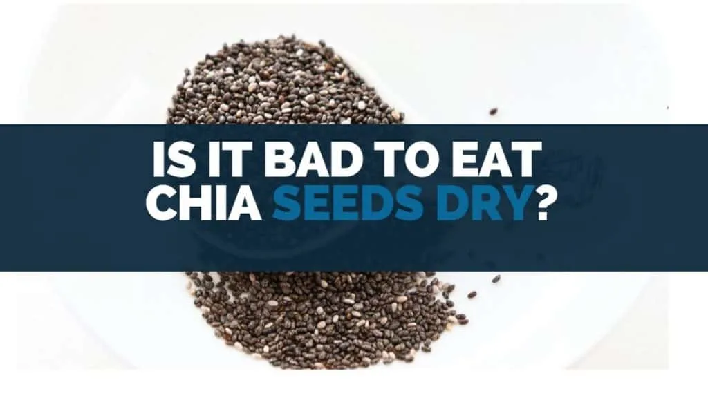 Can We Eat Chia Seeds Raw? [DRY Or SOAK?]