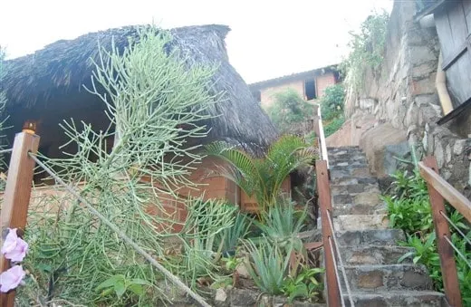 loma linda california blue zone