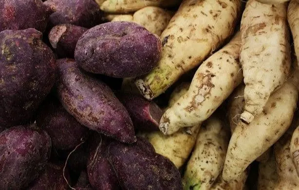 purple sweet potatoes okinawan diet