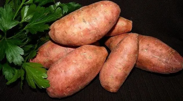 sweet potatoes for healthier longer life