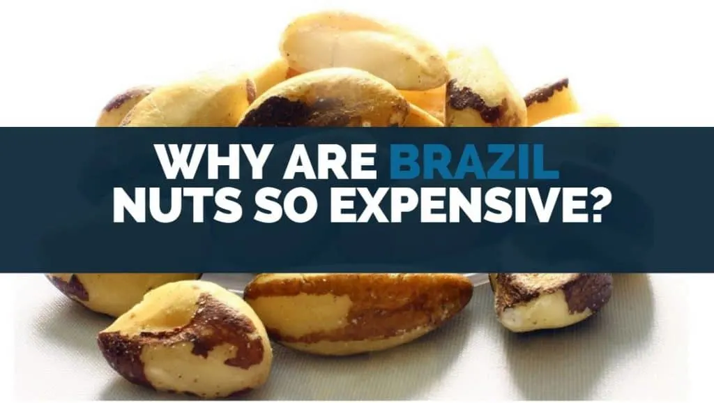 why are Brazil nuts so expensive