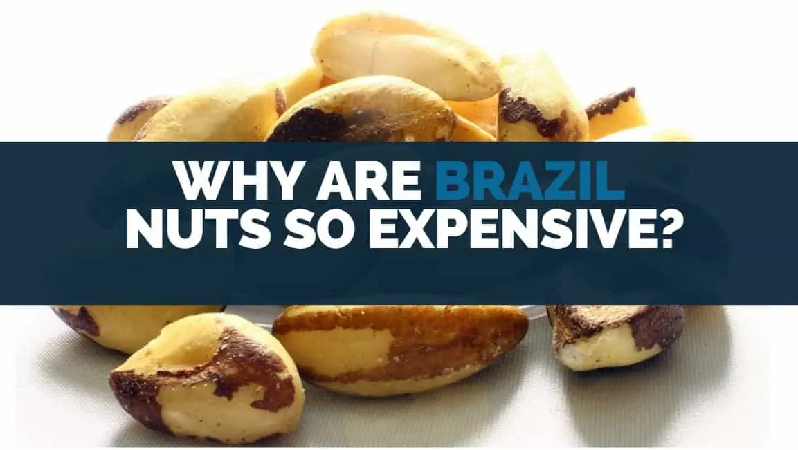 why are Brazil nuts so expensive