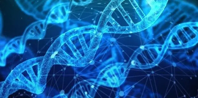 Why Will Life Expectancy Be Longer in 2050