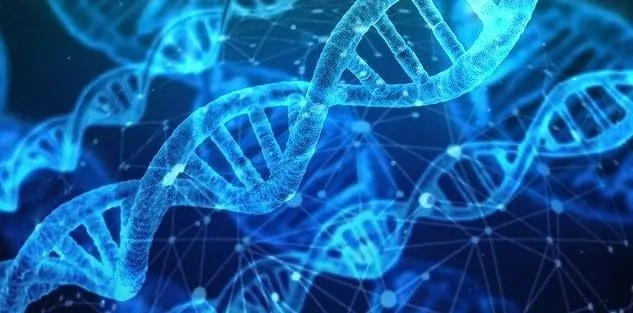 Why Will Life Expectancy Be Longer in 2050