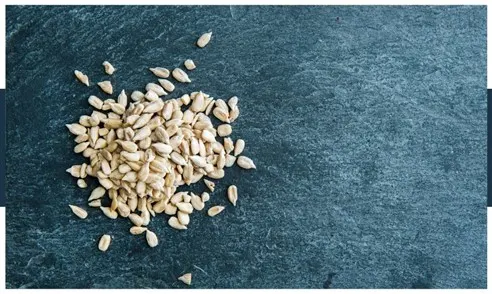 nutrients and vitamins found in sunflower seeds