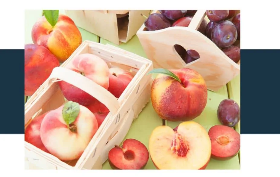 Are Stone Fruit Seeds Poisonous