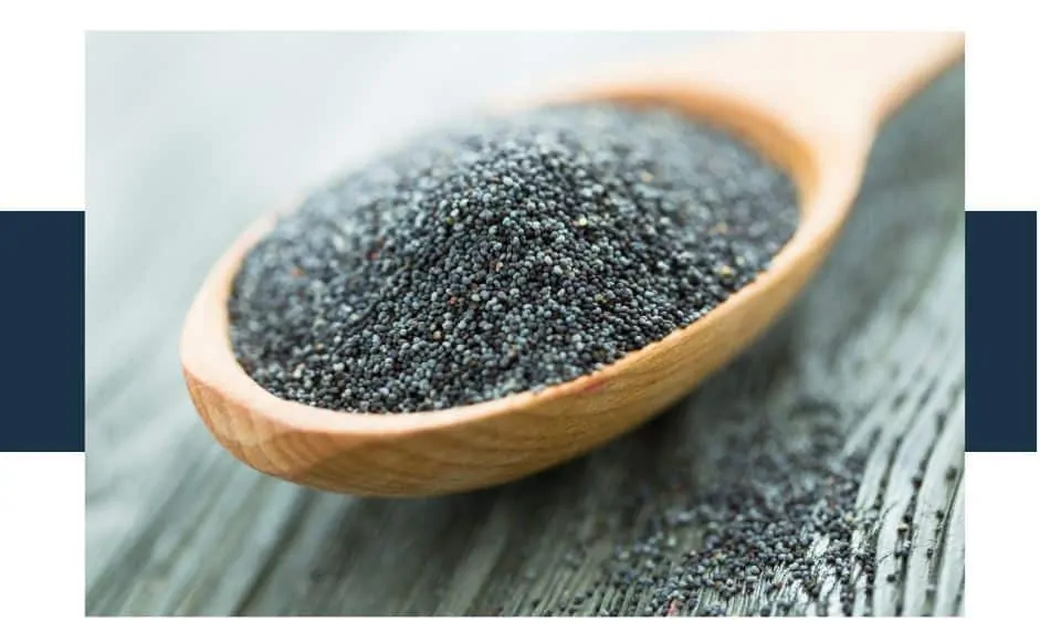Do Chia Seeds Cause Bowel Movements