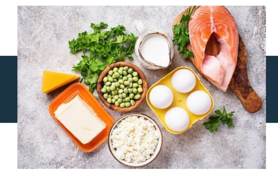 What Is the Connection Between Diet and Lifespan