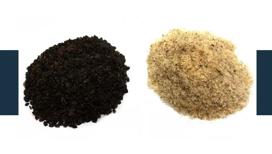 What Type of Psyllium Husk is Best