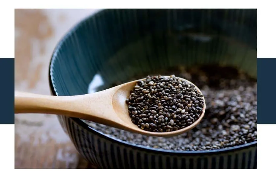 Where Do Chia Seeds Come From