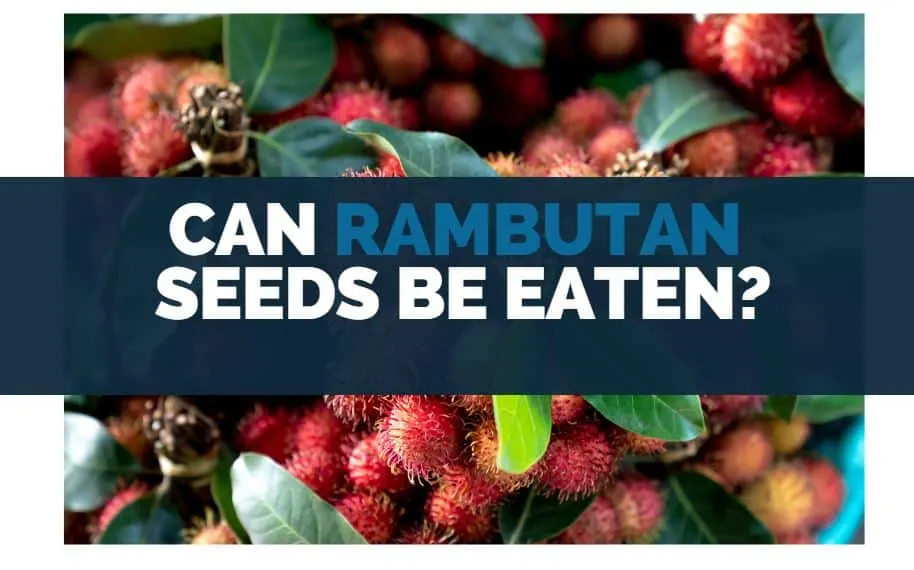 can rambutan seeds be eaten