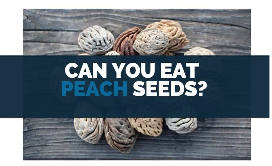 can you eat peach seeds