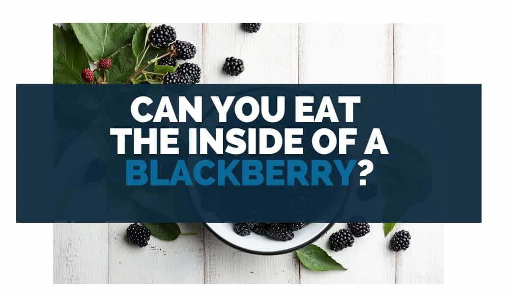can you eat the inside of a blackberry