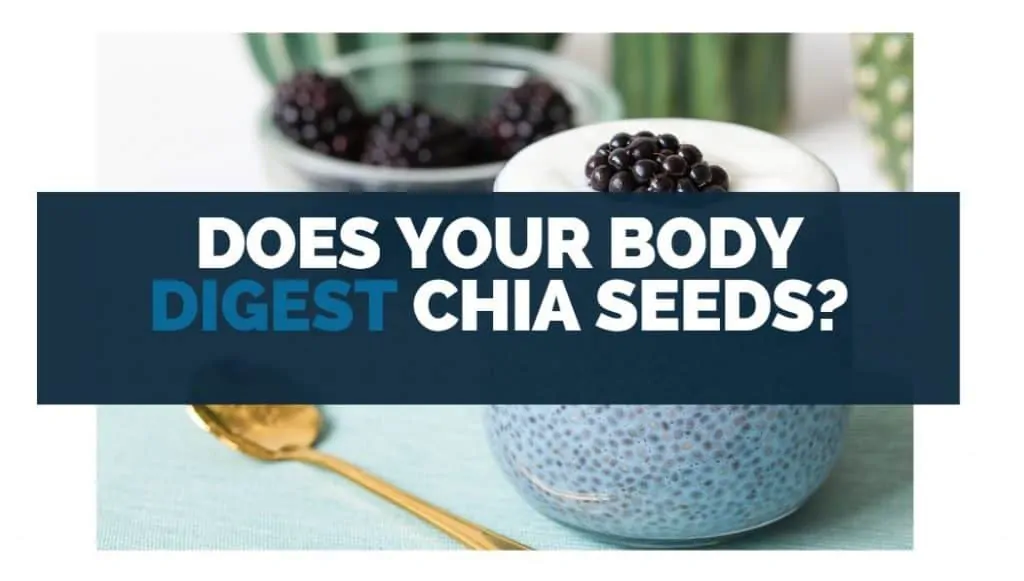 does your body digest chia seeds
