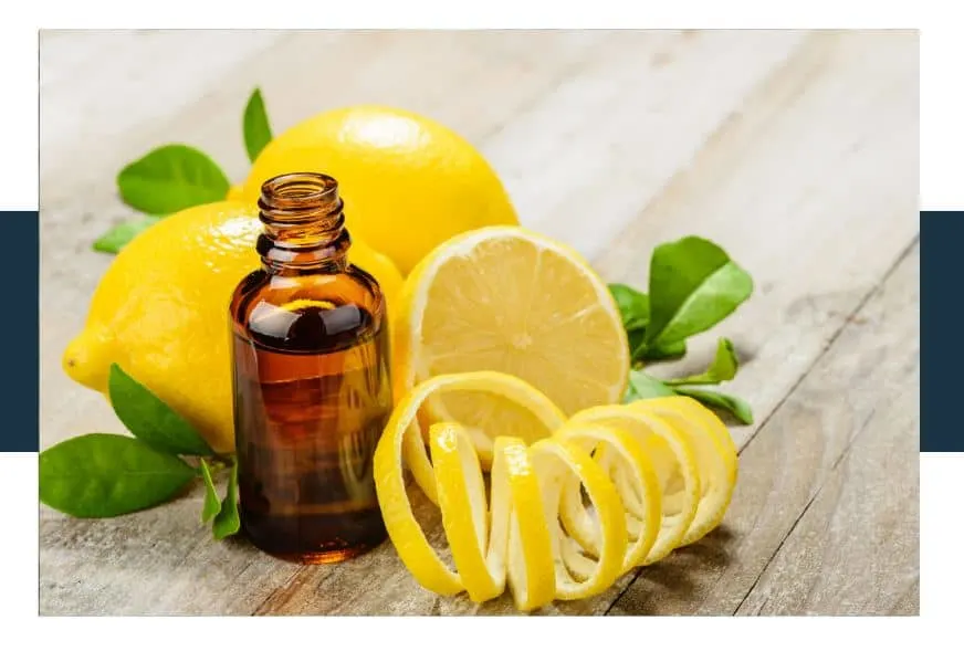 ways to use lemon