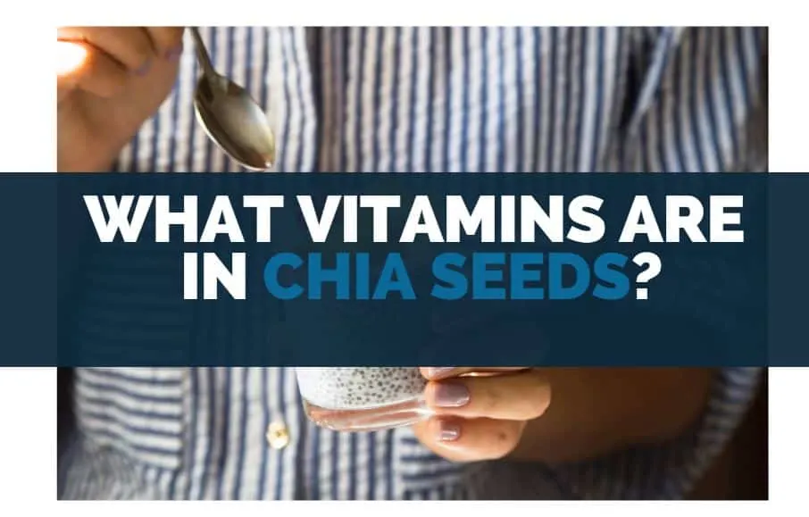 what vitamins are in chia seeds