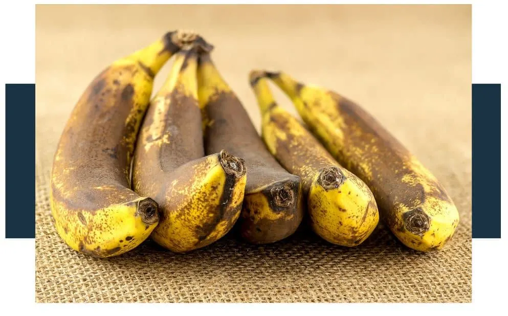 A banana that is brown because it’s over-ripe