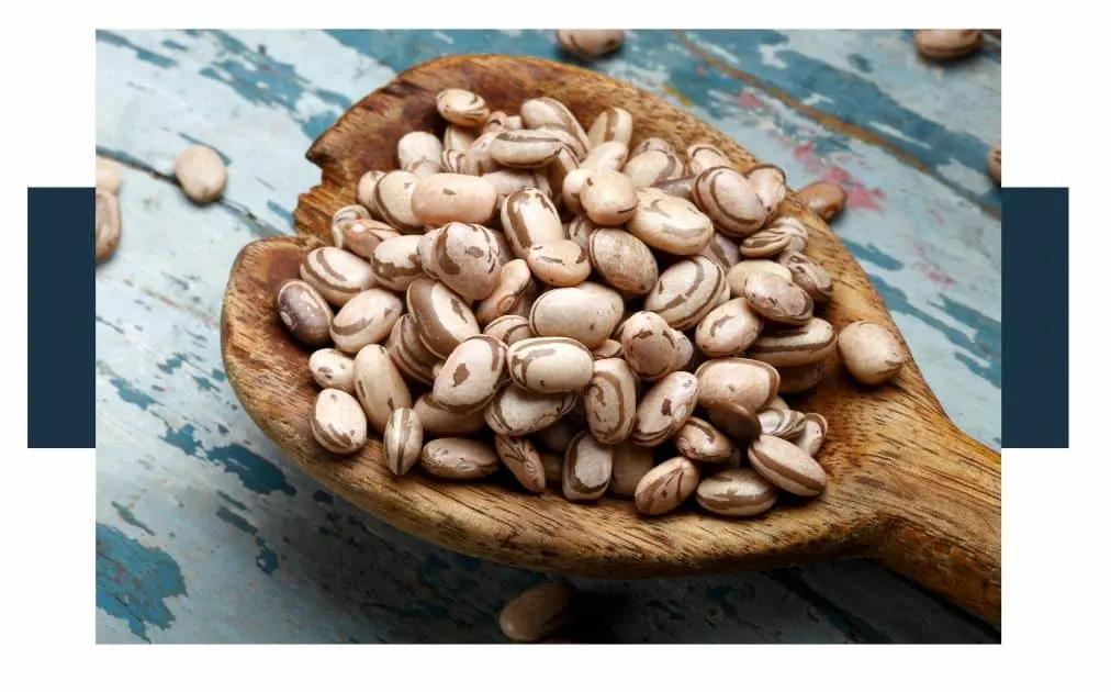 Are Butter beans and Pinto beans the same