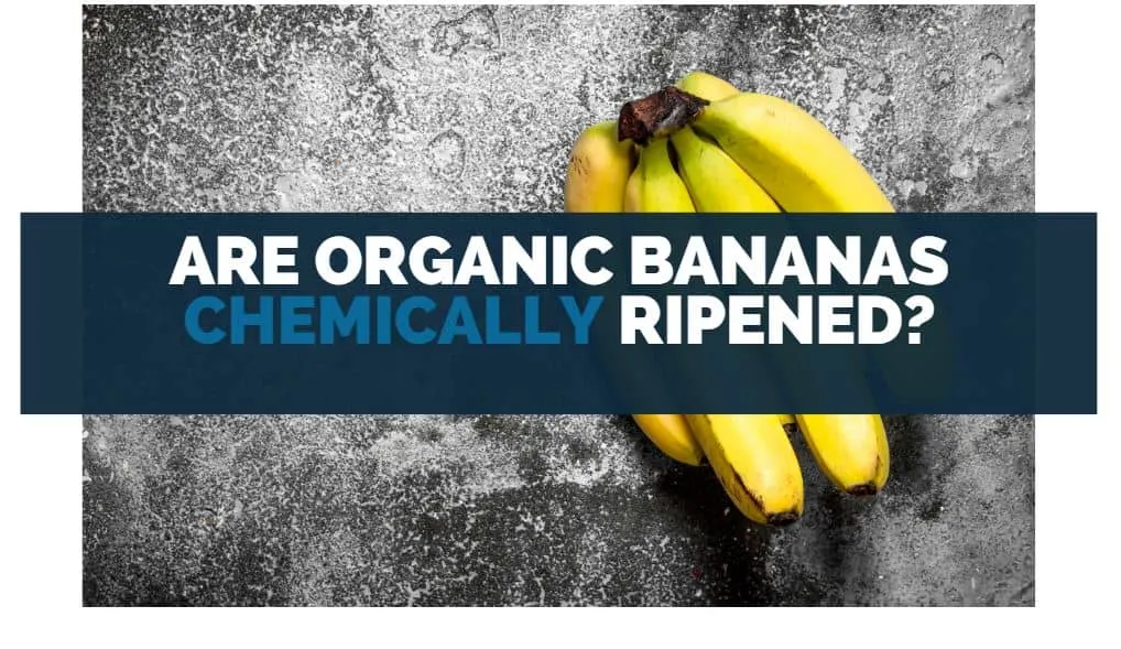 Are Organic Bananas Chemically Ripened