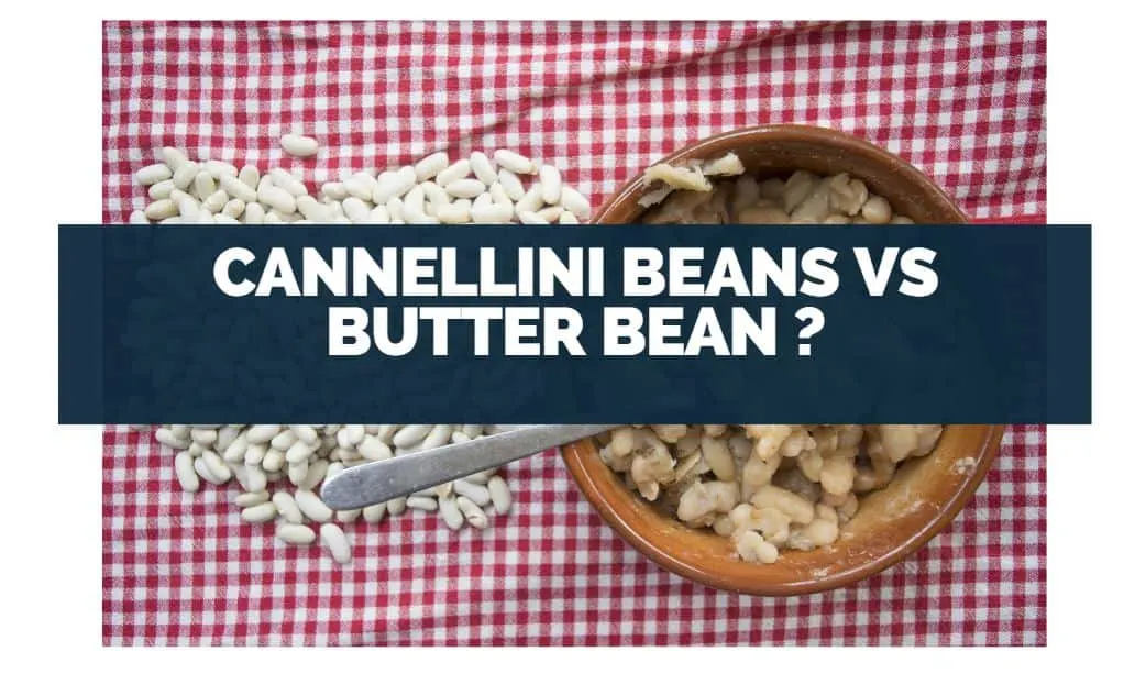 Cannellini Beans vs Butter Beans are they different