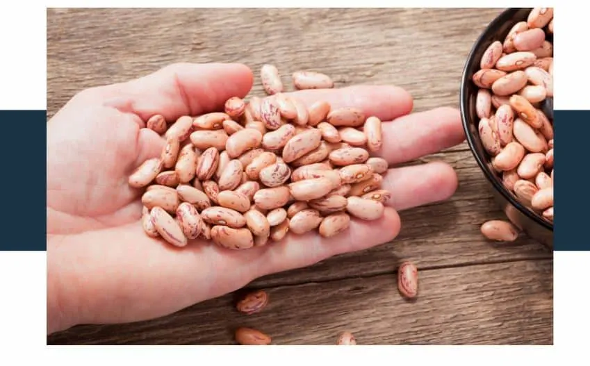 How do the nutrients in black beans and pinto beans compare