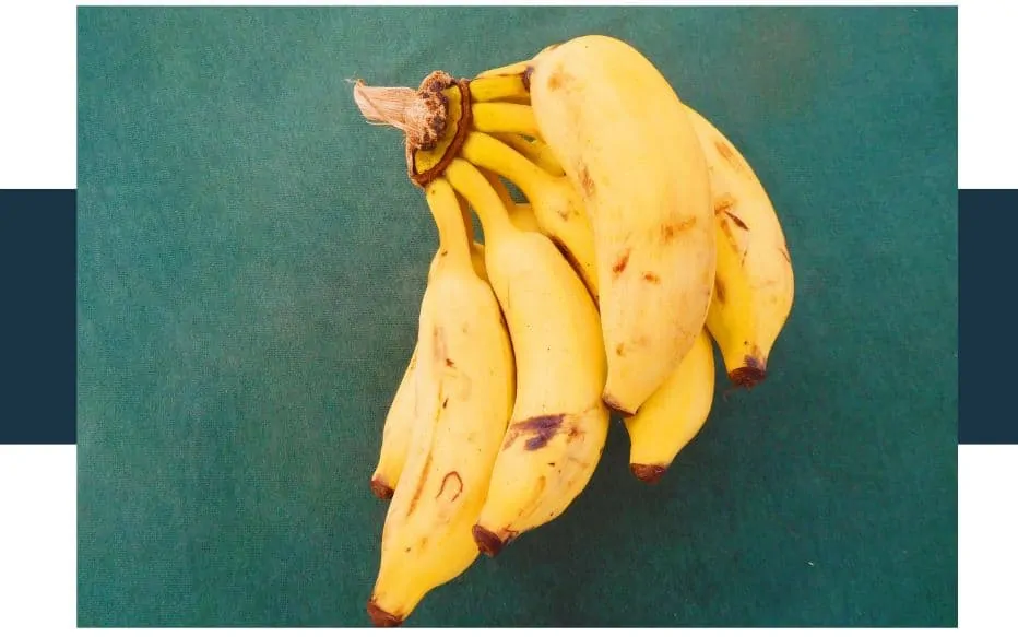 Is a banana a berry or a fruit