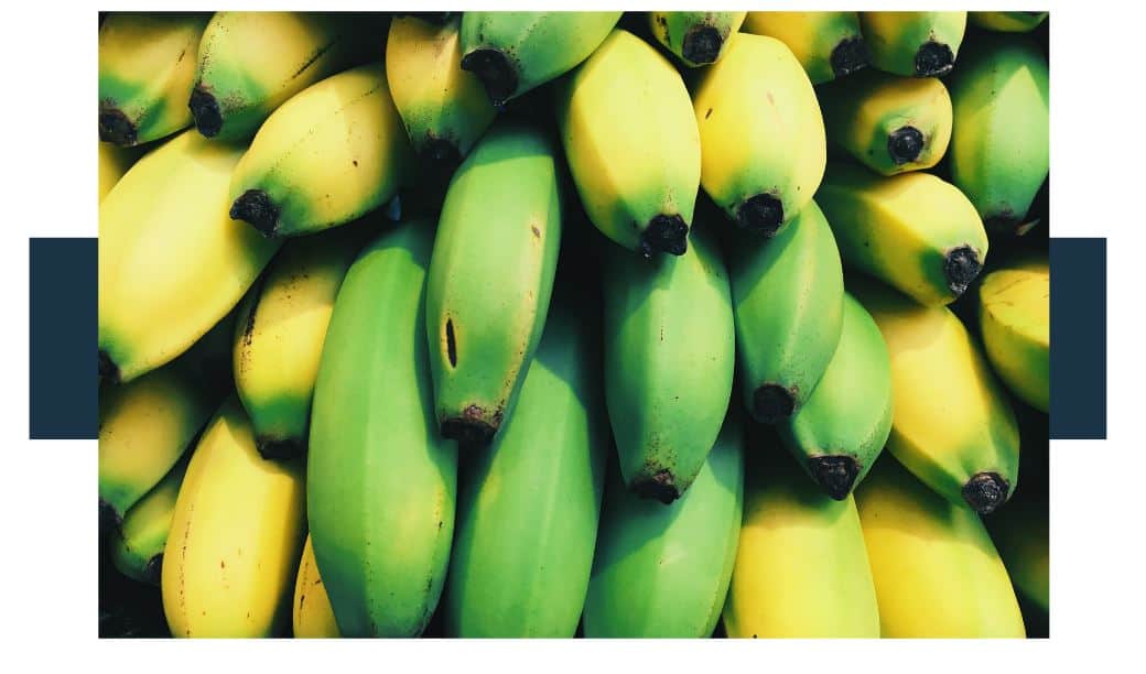 What Chemicals Are Used To Ripen Organic Bananas