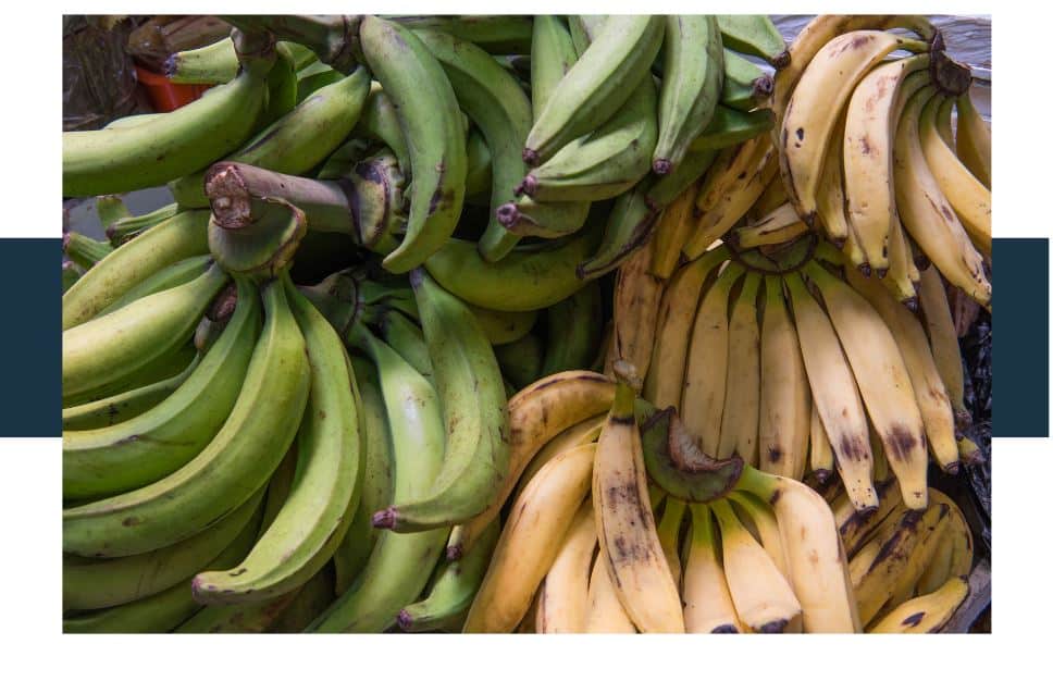 What Is The Difference Between Organic Bananas And Regular