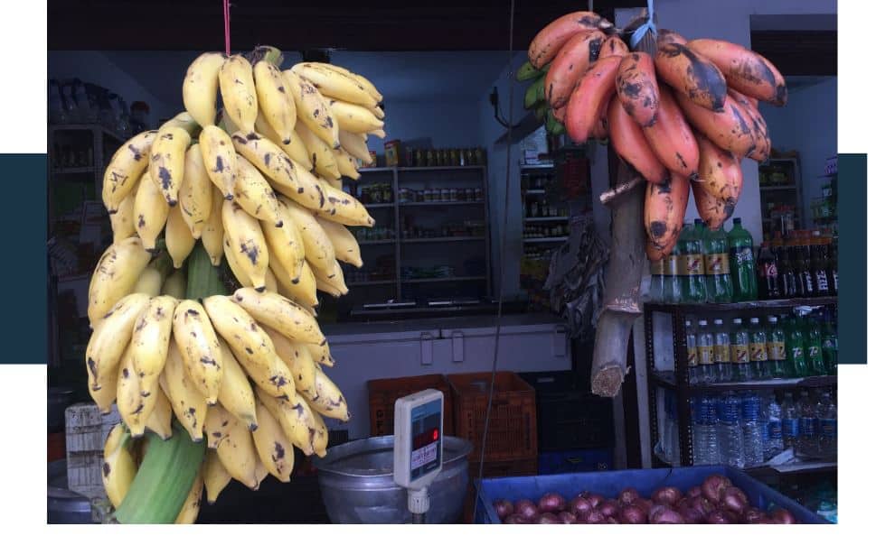 Why are bananas so cheap at the moment