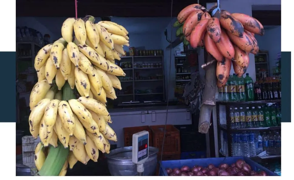 Where Are Bananas Grown In The US? [Farms, Maps]