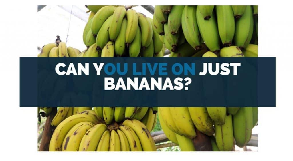 can you live on just bananas