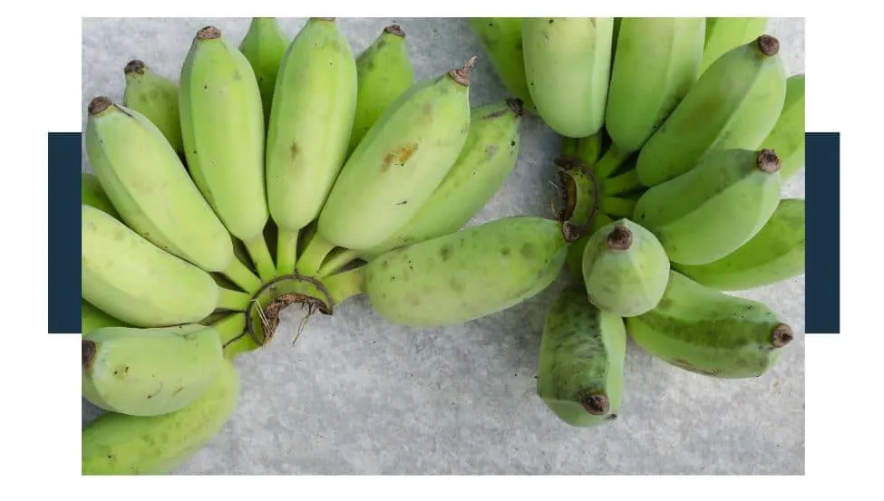 cerified organic herbicides for Bananas