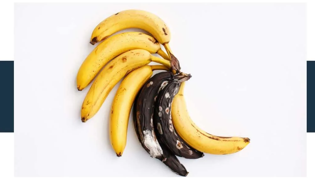 mold growing on a banana looks like