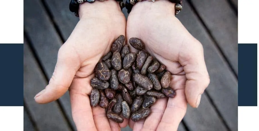 How Much Raw Cacao Is Too Much