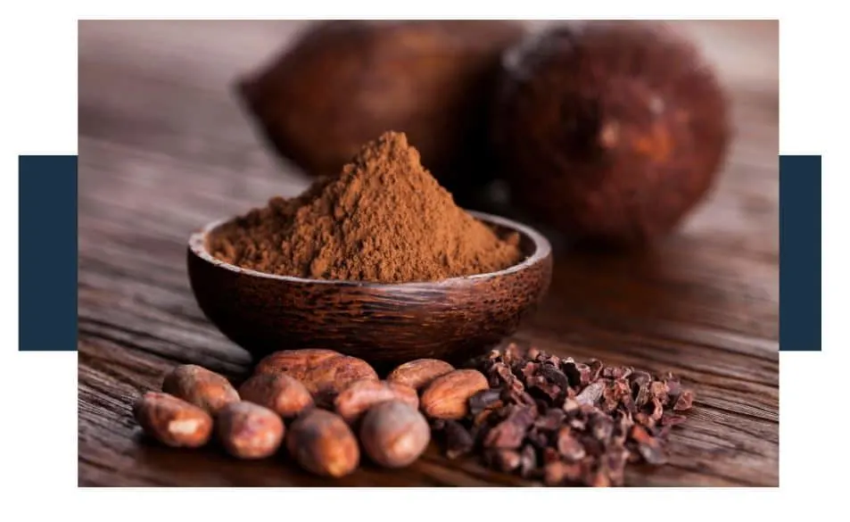 What’s The Difference Between Cacao Nibs And Cacao Beans