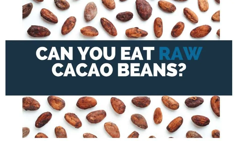 can you eat raw cacao beans