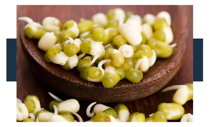 Are Mung Beans Poisonous