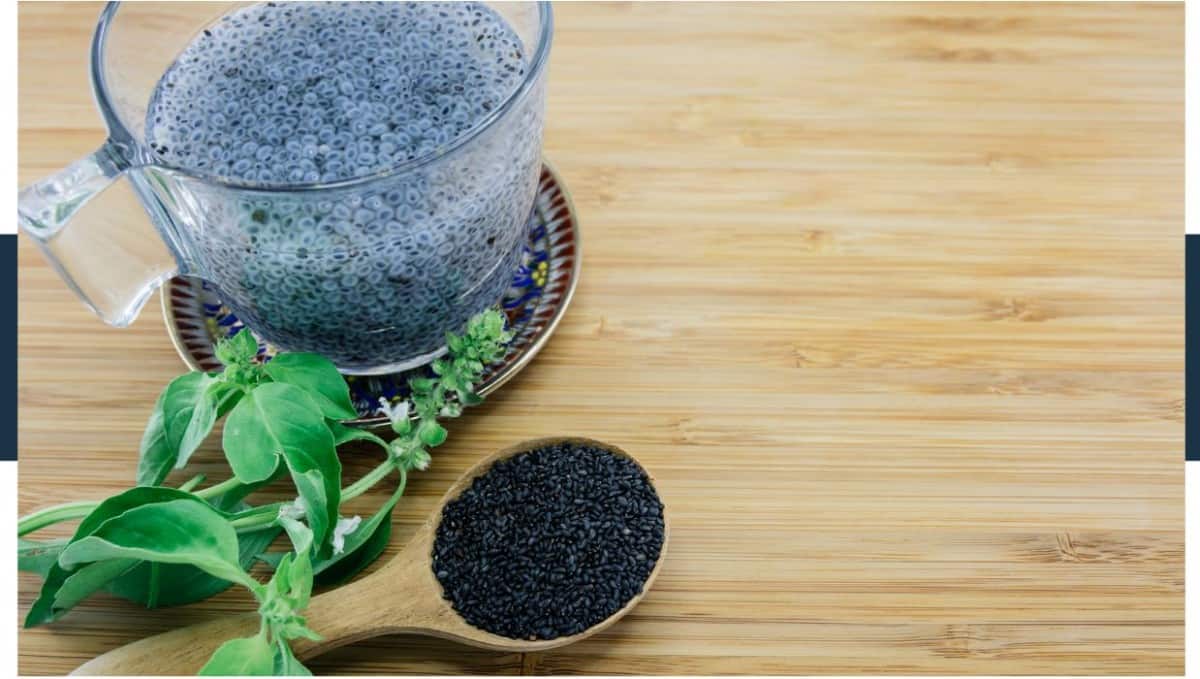 Can We Take Basil Seeds Daily