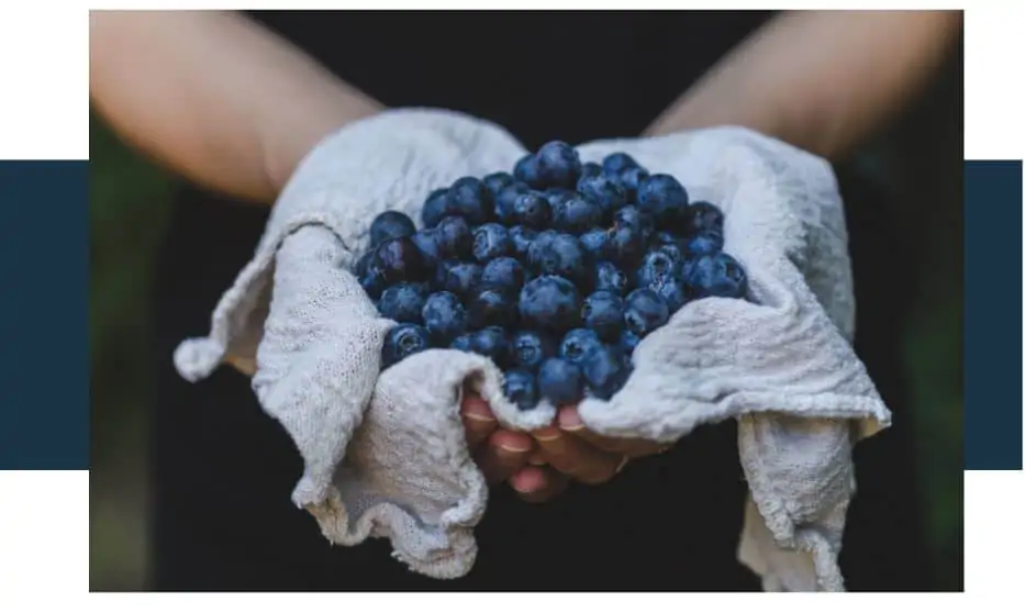 Can You Eat Out of Date Blueberries