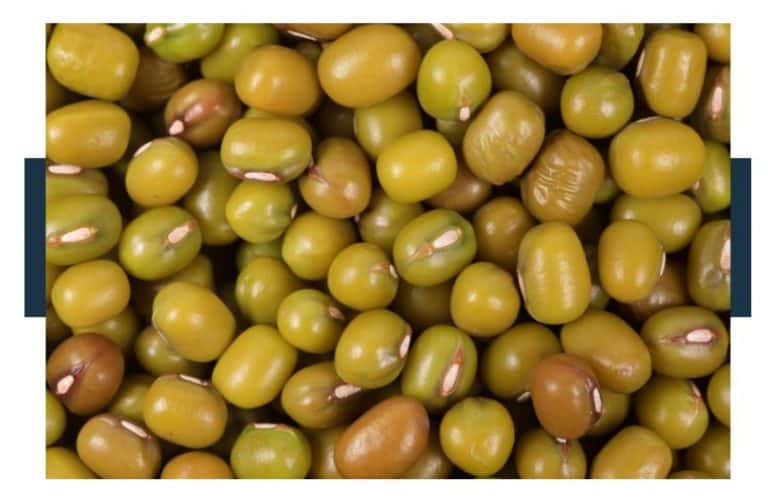 do-mung-beans-smell-fresh-or-spoiled-eat-for-longer