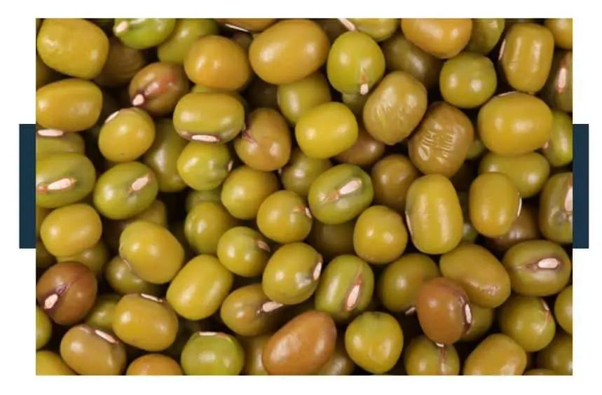How Can You Tell if Mung Beans Are Bad