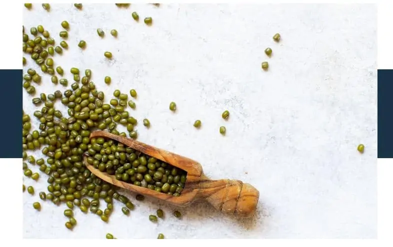 How Do You Keep Mung Beans Fresh